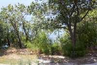 2016-06-16 12-26-43