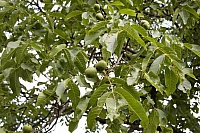 2009-07-13 10-04-39
