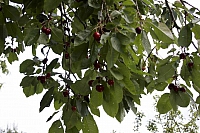 2009-07-13 10-05-33