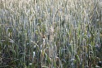 2009-07-13 10-06-34