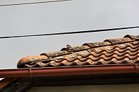 2009-07-13 10-41-52