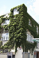2009-07-13 14-48-38