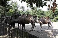 2009-07-13 18-59-17