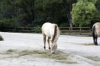 2009-07-13 19-04-49