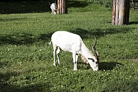 2009-07-13 19-13-09