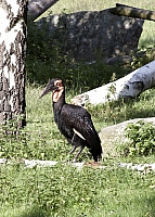 2009-07-13 19-28-49