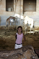 2009-07-13 19-52-09