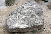 2009-07-13 20-30-01