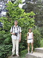 2009-07-13 20-35-07