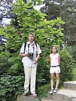 2009-07-13 20-35-29