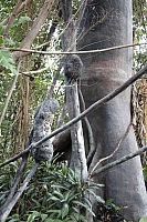 2009-07-13 20-57-52