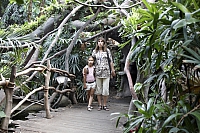 2009-07-13 20-59-57 1