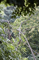 2009-07-13 21-17-21