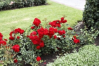 2009-07-15 14-38-46