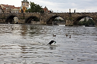 2009-07-15 19-30-21