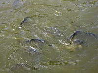 2009-07-16 12-49-07
