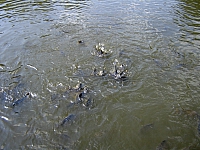 2009-07-16 12-50-40