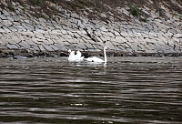 2009-07-16 22-58-06 1