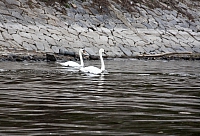 2009-07-16 22-58-20 1