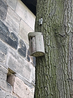 2009-07-19 17-43-11