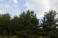2009-07-20 20-20-02