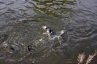 2009-07-14 13-02-16
