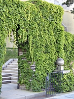 2009-07-14 20-57-21