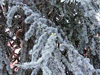 2009-07-14 21-20-07