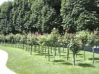 2009-07-22 15-00-39