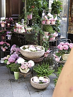 2009-07-22 19-25-53