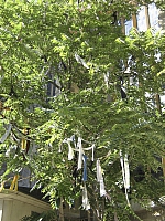 2009-07-22 19-26-22