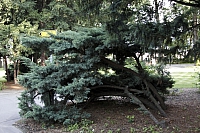 2009-07-10 20-04-31