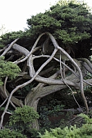 2009-07-10 20-13-14