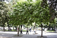 2009-07-12 16-35-49