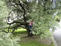 2009-07-12 17-14-20