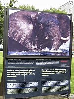 2009-07-12 17-22-58 1