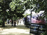 2009-07-12 17-23-22