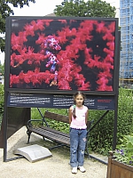 2009-07-12 17-28-44 1