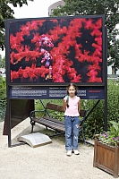 2009-07-12 17-29-13 1