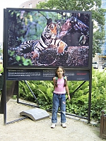 2009-07-12 17-29-17