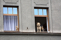 позируем