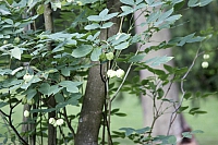 2009-07-12 21-21-29