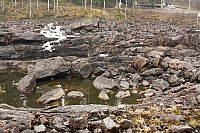 2010-05-01 11-03-18
