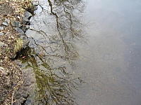2010-05-01 11-06-33