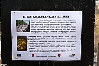 2010-05-01 11-25-50