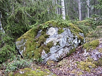2010-05-01 11-36-59