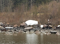 2010-05-01 11-37-22