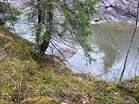 2010-05-01 11-38-38