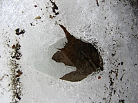 2010-05-01 11-46-17