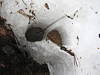 2010-05-01 11-47-07